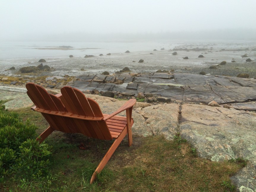 Afraid of New Normalcy and Stray&nbsp;Bread